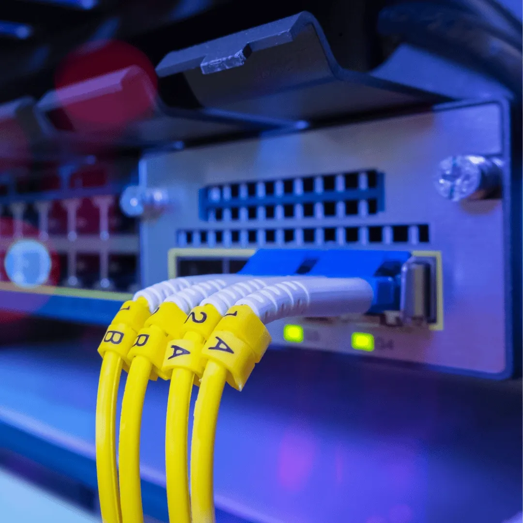Lodosnet